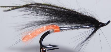 Black&Silver Orange tail